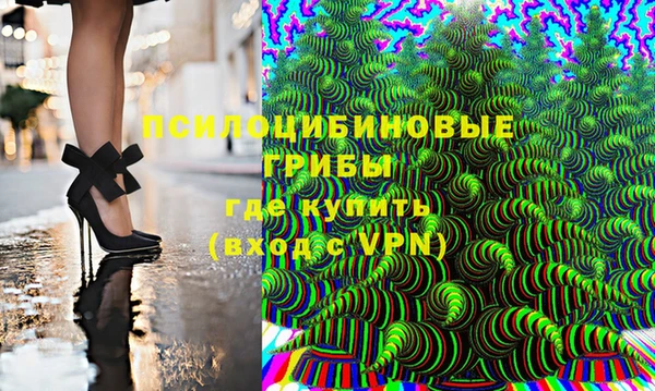 дмт Гусев