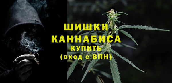 дмт Гусев