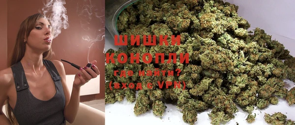 мдма Дмитриев