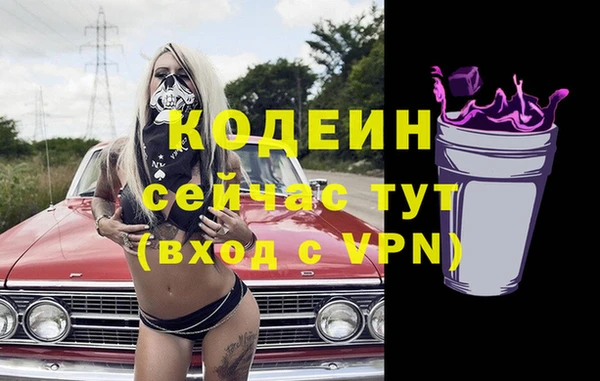 дмт Гусев