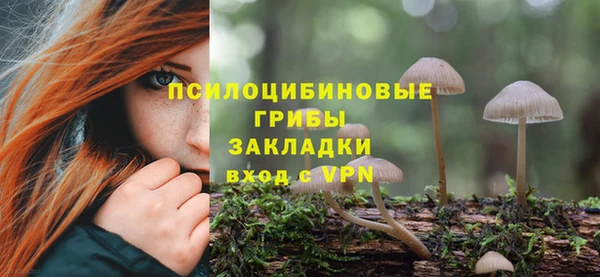 дмт Гусев