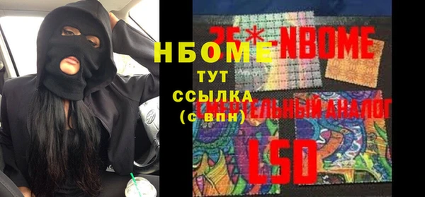 дмт Гусев