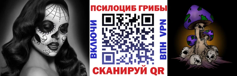 Купить закладки Сосновый Бор Галлюциногенные грибы прущие грибы
