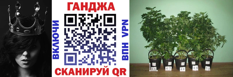 Каннабис THC 21% Сосновый Бор